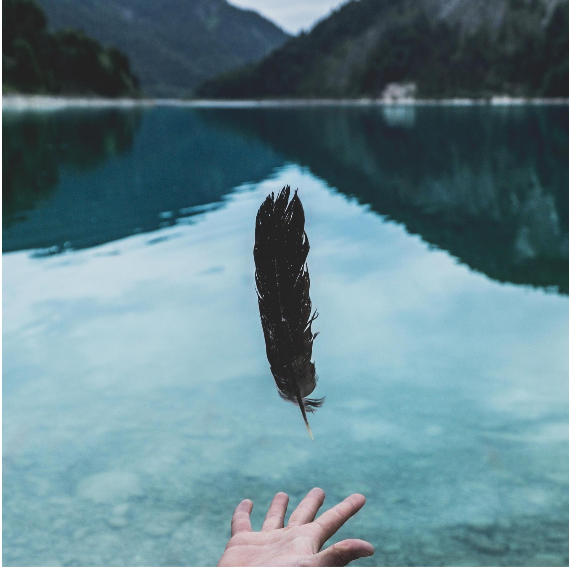 The Life You Save May Be Your Own
