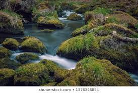 Simmer Down – Soothing the Inflammatory Nature of Life (with energy healing)