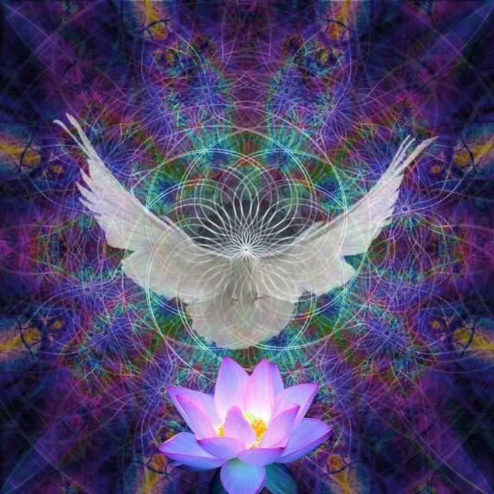 Using Somatic Breath as a Guide to Awakening Your Divine Feminine Christ Consciousness 
