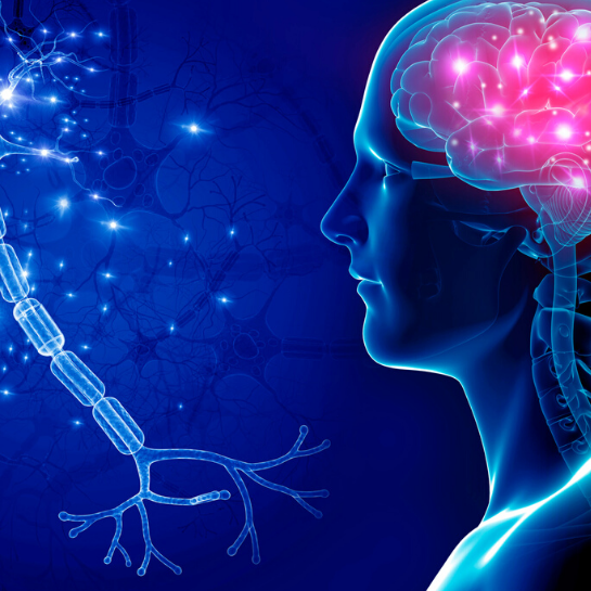 Balancing The Gut & Brain