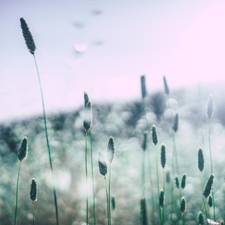 Tap into the power of calm