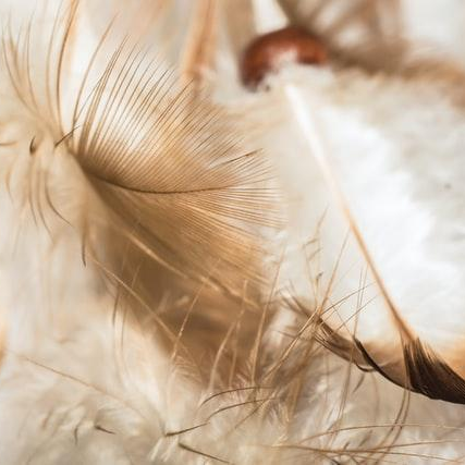 Angels Create Joy with The Angel Lady Sue Storm