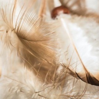 Angels Create Joy with The Angel Lady Sue Storm