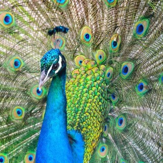 The Making of Get Big Out Loud with Kari Knutson