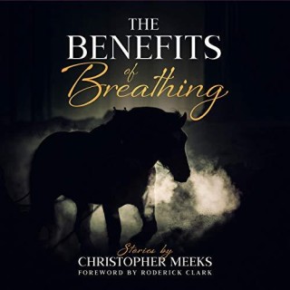 Career as Writer! with guest Chris Meeks