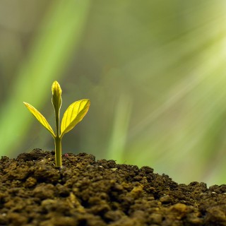 Change Your Financial Bottom Line Through the Power of Being