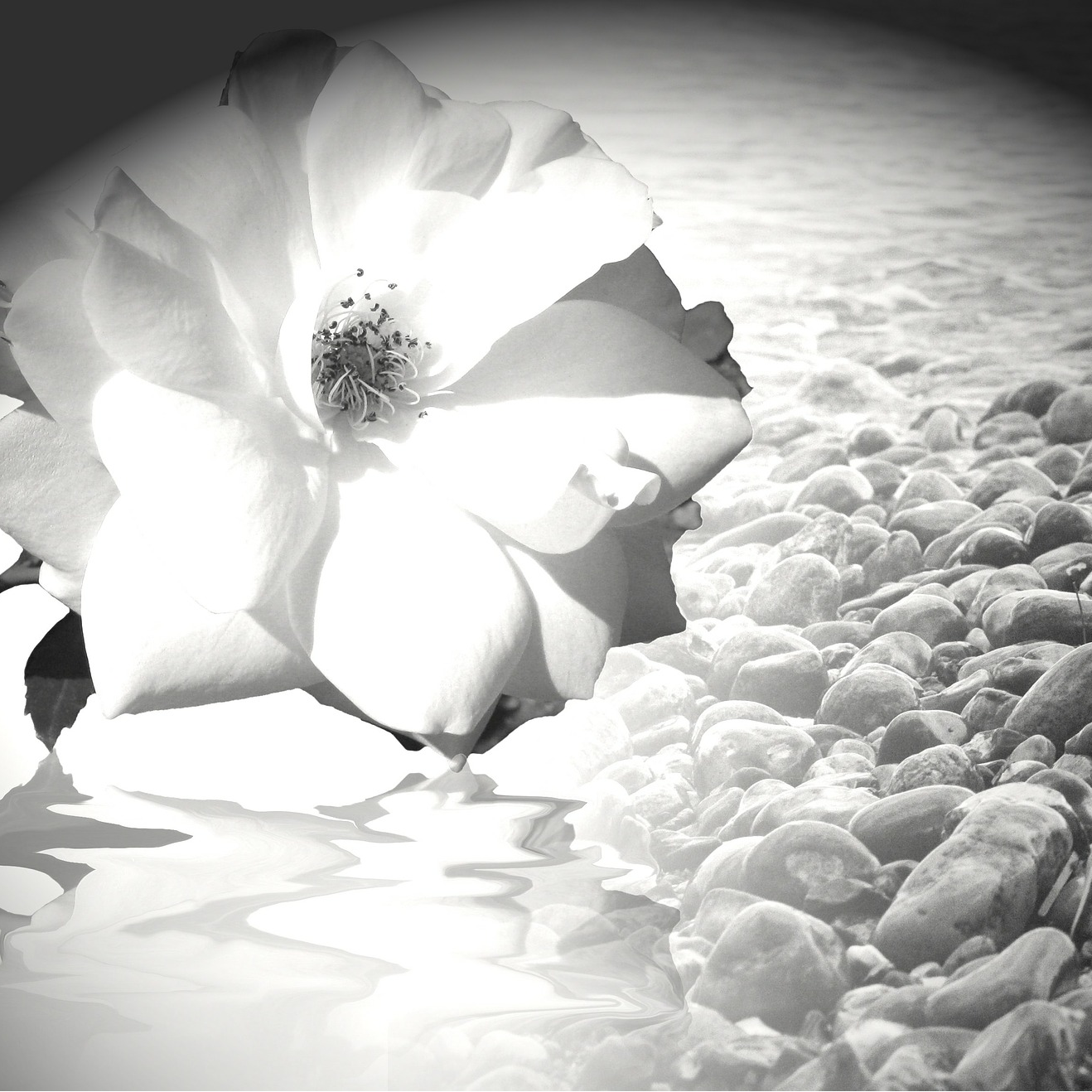 Angel Support for a Balanced Life with Sue Storm The Angel Lady