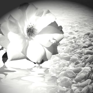 Angel Support for a Balanced Life with Sue Storm The Angel Lady