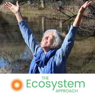 The Ecosystem Approach - the end of the story!
