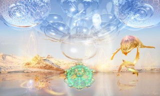 Bridging 3D and 5D As The Animations On The Planet Accelerate 