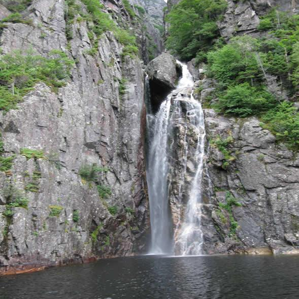 Improving Today’s Medicine – From Stagnation to Flow