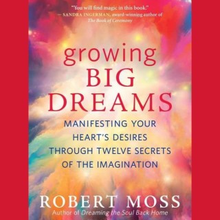 Encore: Growing Big Dreams: Manifesting Your Heart's Desires through the Twelve Secrets of Manifestation with Author Robert Moss