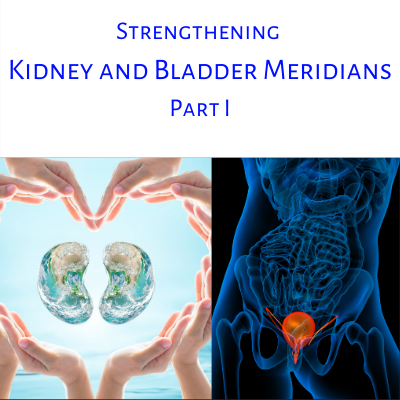 Strengthening the Kidney and Bladder Meridians, Part I with Grace G. Hom, Ep #106