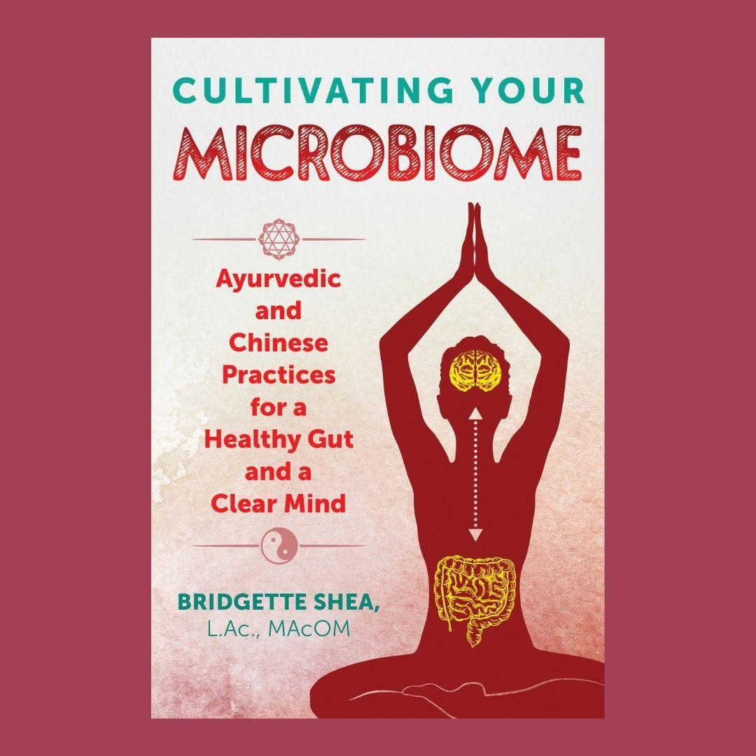 Cultivating Your Microbiome: Ayurvedic and Chinese Practices for a Healthy Gut and a Clear Mind with Bridgette Shea