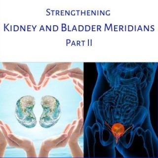 Strengthening the Kidney and Bladder Meridians, Part II with Grace G. Hom, Ep #107