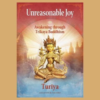 Unreasonable Joy: Awakening through Trikaya Buddhism with Turiya