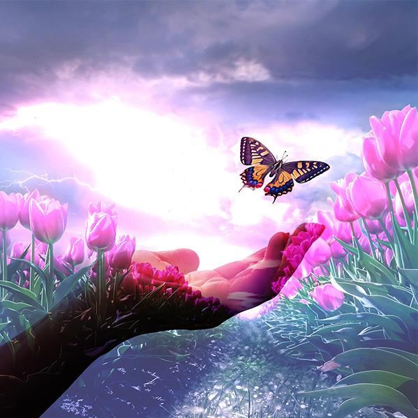 The Great Awakening: How best to navigate our current times with Lorie Ladd