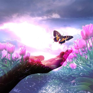 The Great Awakening: How best to navigate our current times with Lorie Ladd