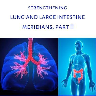 Strengthening Lung and Large Intestine Meridians Part II with Grace G. Hom, Ep#109