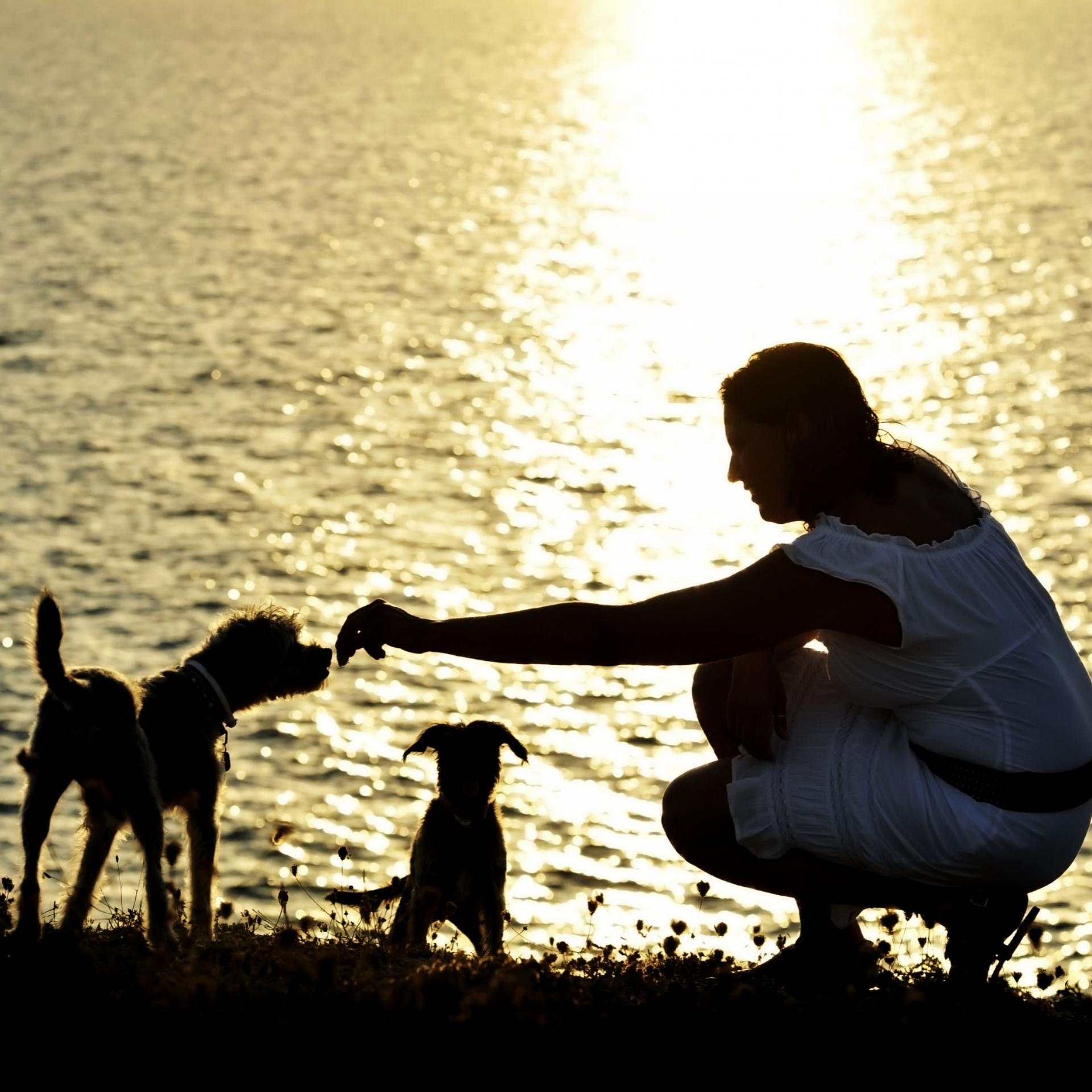 The Creation of a Money Relationship - a first hand story