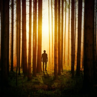 Tap into the power of calm during chaos and uncertainty