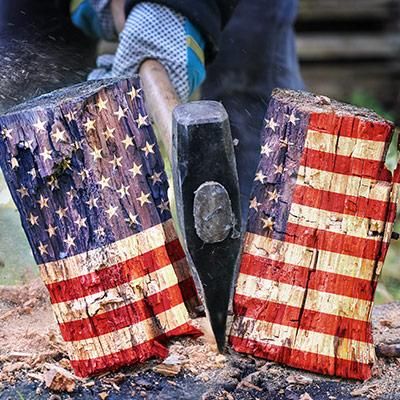 Divided Country - what is the real cause?
