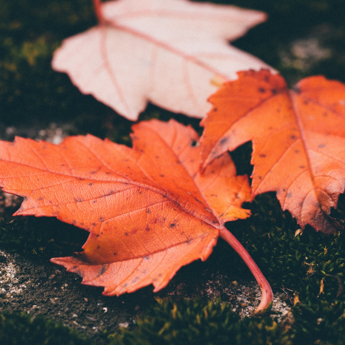 Stop avoiding change, and instead make it your default.