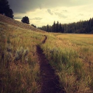 Encore: Celebrate YOUR Inauguration – Claim your new path!