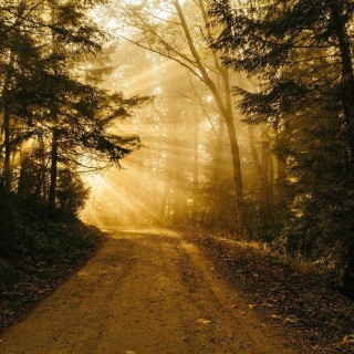 Leading Your Way to Financial Wealth