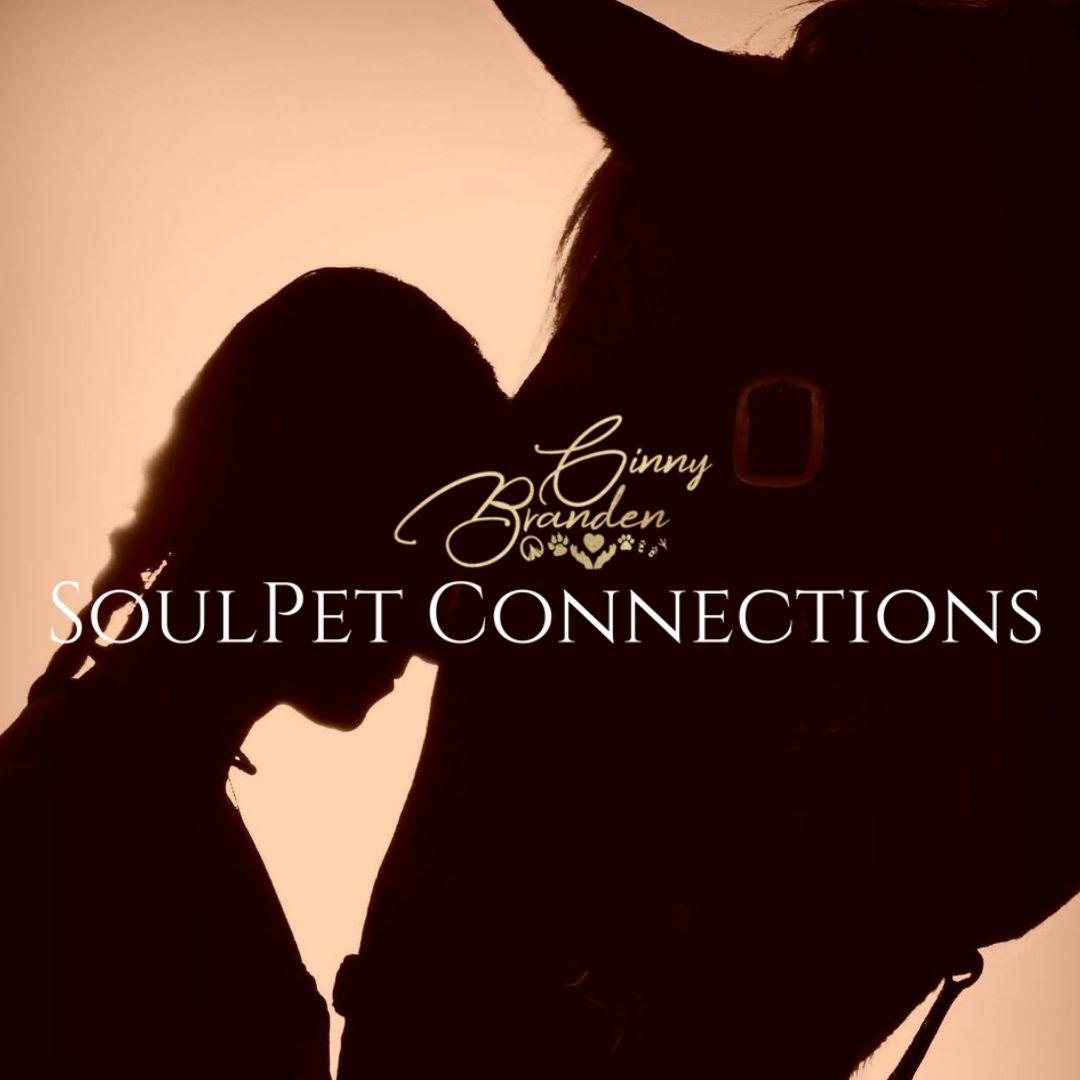 Having a chaotic internal state can impact your environment, other people, & even your pets with Guest Ginny Branden