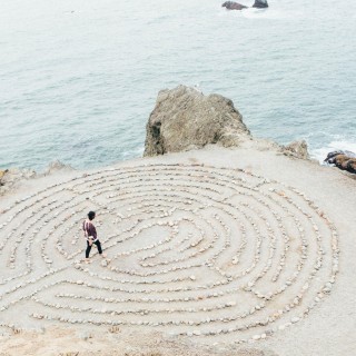 Signs:  The Secret Language of The Universe
