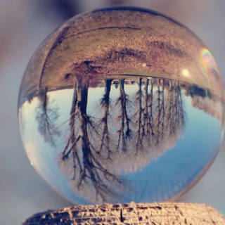 What now? Ideas for living right-side up in a world that feels upside down