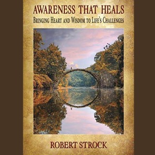 Awareness That Heals ~ Relating to Indigenous Practices with Guest Robert Strock