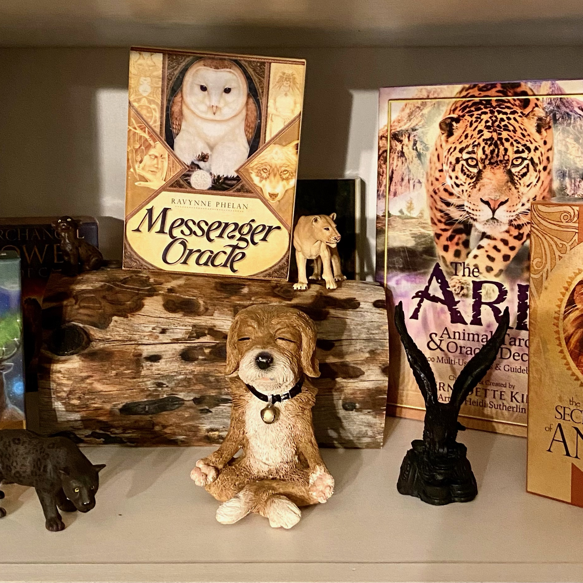 Encore: Getting to Know Your Spirit Animal, Power Animal and Familiar-Spirit Animal Oracle Card Readings