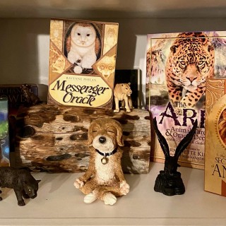 Encore: Getting to Know Your Spirit Animal, Power Animal and Familiar-Spirit Animal Oracle Card Readings
