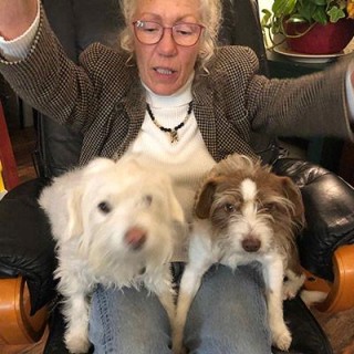 Doggy Love - can humans benefit?
