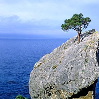 Your Greatest Power - Life Force! 

