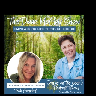 Integrating Failure- Finding Wisdom -Shifting your perspective