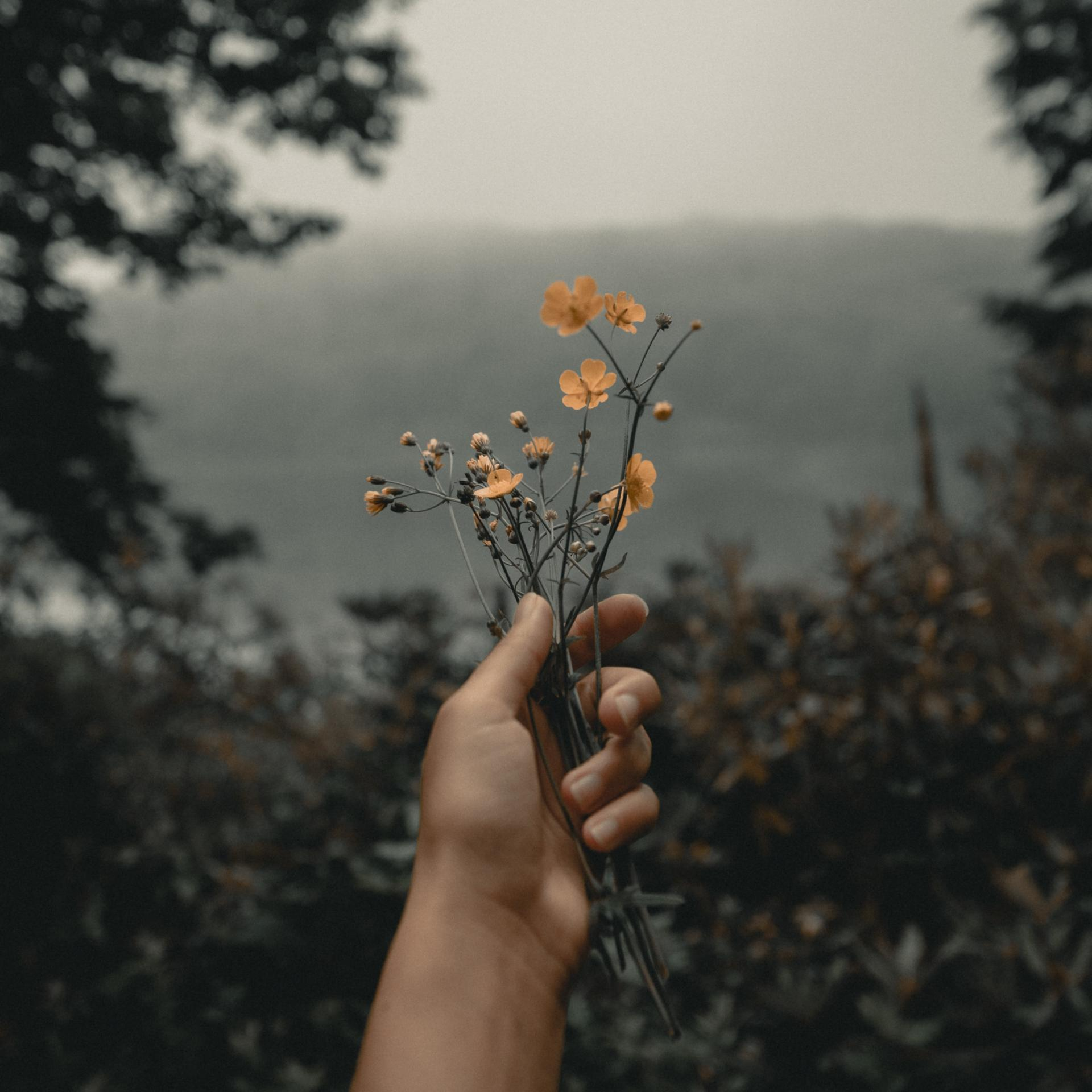 Loss in Life + The Power of Forgiveness 