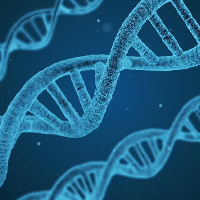 The Dangers of Genetic Altering Therapy with Dr. Lee Merritt