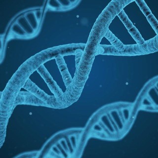 The Dangers of Genetic Altering Therapy with Dr. Lee Merritt