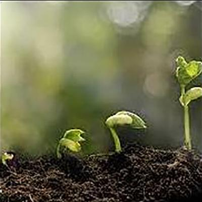 Everything Starts with Awareness:  Building a Foundation