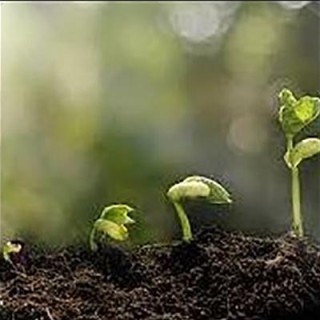 Everything Starts with Awareness:  Building a Foundation