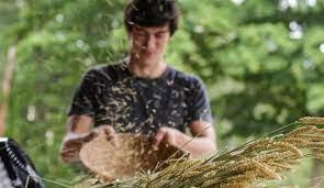 Wheat from the Chaff – Finding What Really Matters