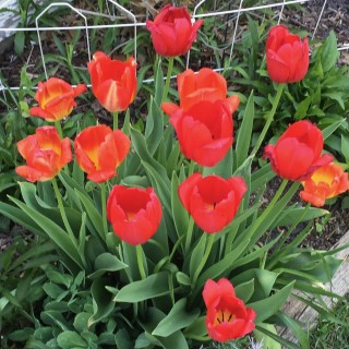 Mindfulness is a scam? Or is this April 1?