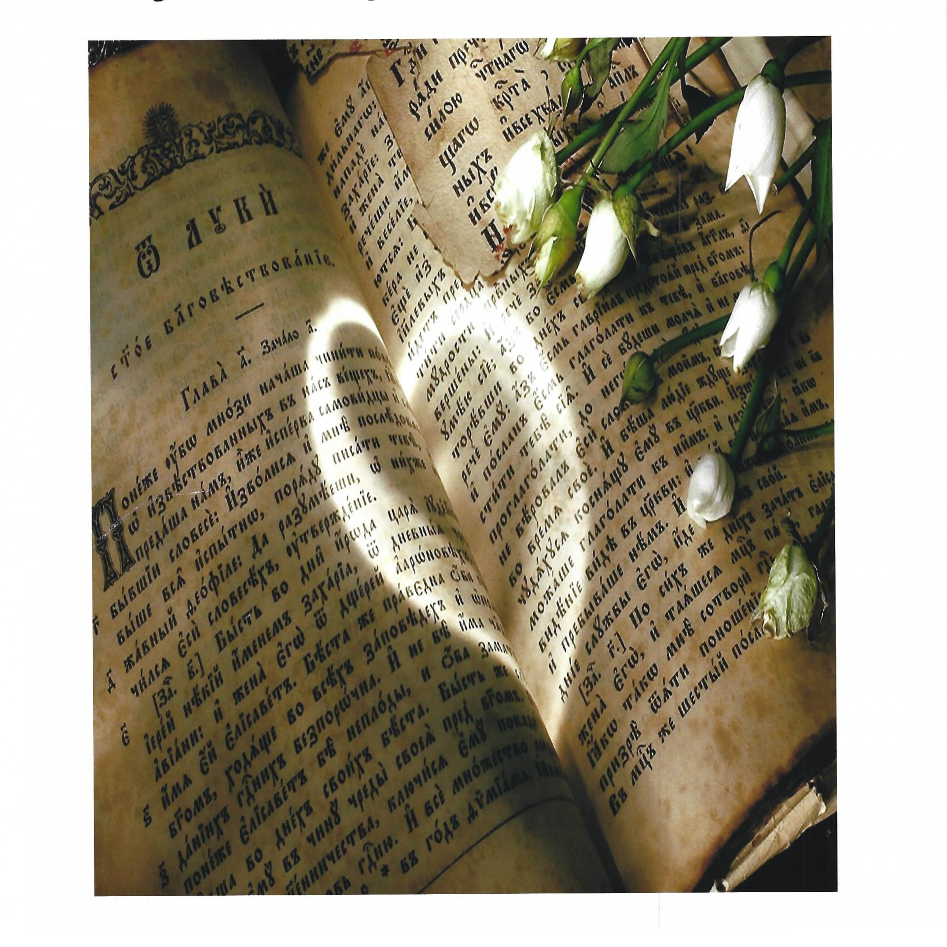  Transformation and the Journey to Your Freedom