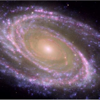 Interview with Galactic Ashley about Star Families and her Light Language Intensive