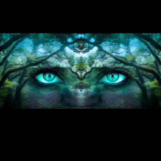 Encore: From Vision To Purpose - David's Spirit Journey