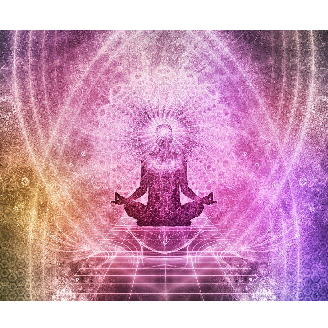 An Introduction to The Language of Light