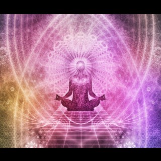 An Introduction to The Language of Light